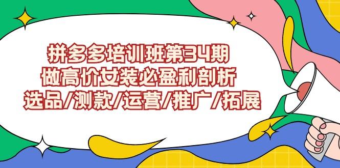 (9333期)拼多多培训班第34期：做高价女装必盈利剖析  选品/测款/运营/推广/拓展-翻身站