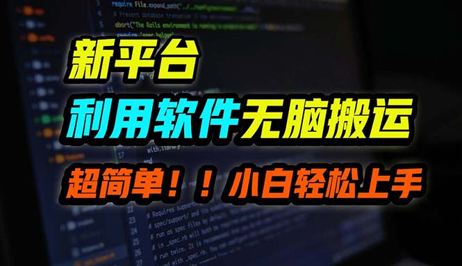 B站平台用软件无脑搬运，月赚10000+，小白也能轻松上手-翻身站