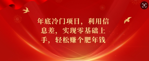 年底冷门项目，利用信息差，实现零基础上手，轻松赚个肥年钱【揭秘】-翻身站