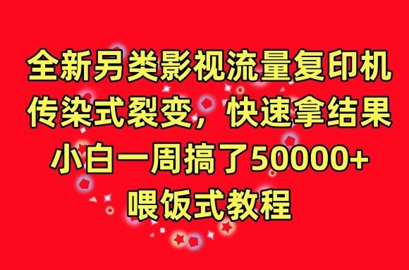 全新另类影视流量复印机，传染式裂变，快速拿结果，小白一周搞了50000+，喂饭式教程【揭秘】-翻身站