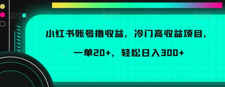 小红书账号撸收益，冷门高收益项目，一单20+，轻松日入300+【揭秘】-翻身站