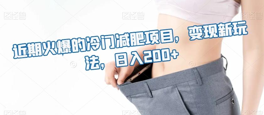 近期火爆的冷门减肥项目，变现新玩法，日入200+-翻身站
