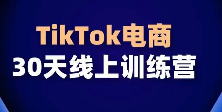TikTok电商带货30天线上课，不可错过的全球流量洼地！-翻身站