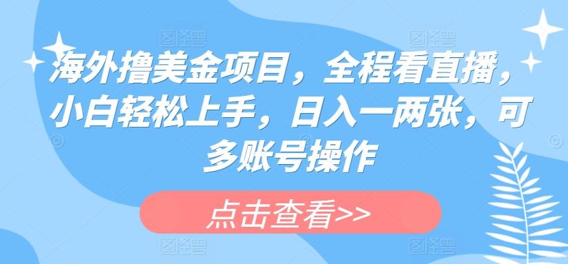 海外撸美金项目，全程看直播，小白轻松上手，日入一两张，可多账号操作【揭秘】-翻身站