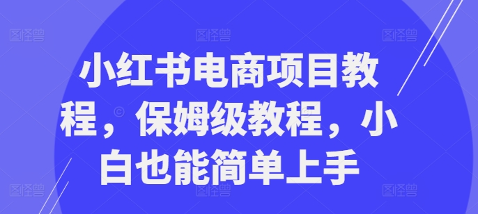 小红书电商项目教程，保姆级教程，小白也能简单上手-翻身站