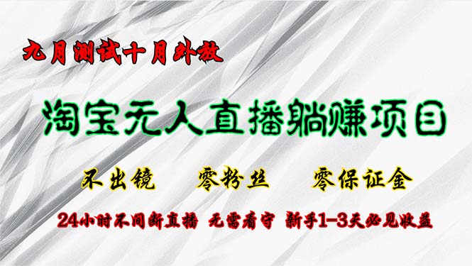 淘宝无人直播最新玩法，九月测试十月外放，不出镜零粉丝零保证金，24小…-翻身站