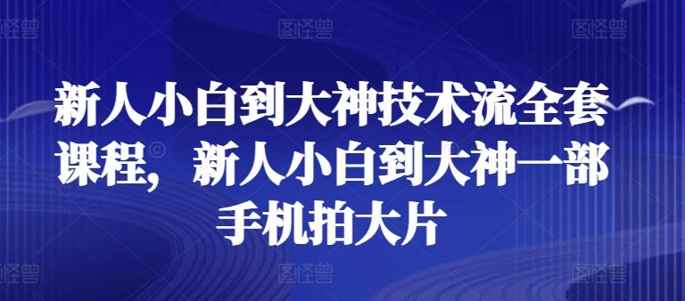 新人小白到大神技术流全套课程，新人小白到大神一部手机拍大片-翻身站