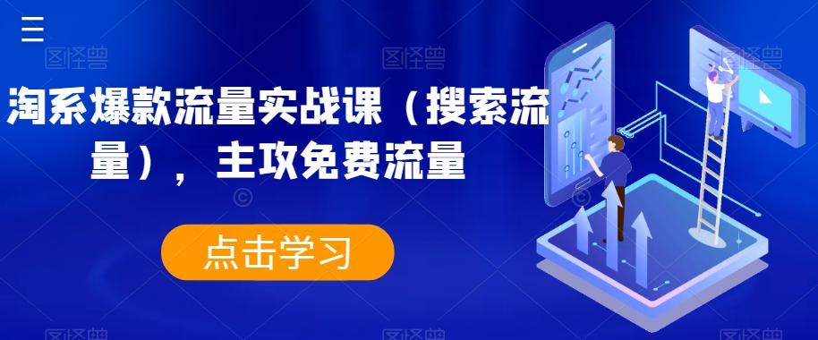 淘系爆款流量实战课（搜索流量），主攻免费流量-翻身站
