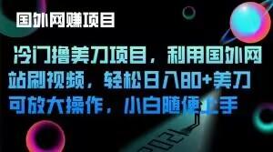 冷门撸美刀项目，利用国外网站刷视频，轻松日入80+美刀，可放大操作，小白随便上手-翻身站