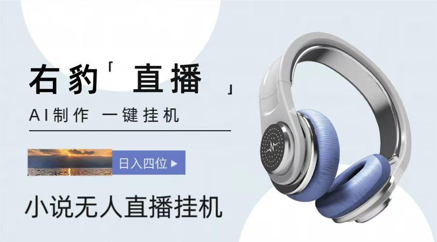 右豹小说无人直播挂机吸金项目，简单易行收益稳定， 月入1000+-翻身站