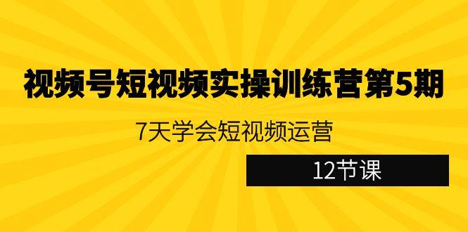 视频号短视频实操训练营第5期：7天学会短视频运营(12节课)-翻身站