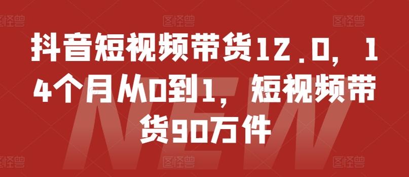 抖音短视频带货12.0，14个月从0到1，短视频带货90万件-翻身站