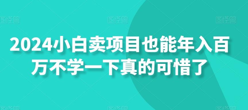2024小白卖项目也能年入百万不学一下真的可惜了-翻身站