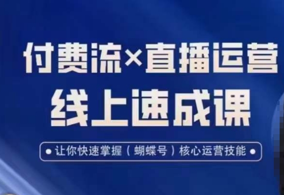 视频号付费流实操课程，付费流✖️直播运营速成课，让你快速掌握视频号核心运营技能-翻身站