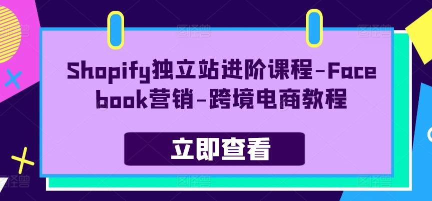 Shopify独立站进阶课程-Facebook营销-跨境电商教程-翻身站