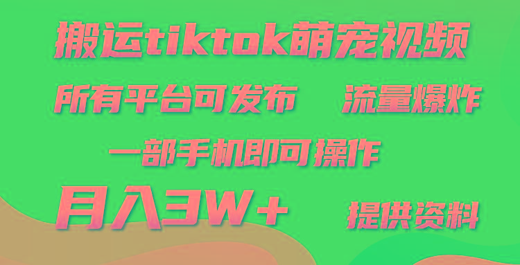 (9618期)搬运Tiktok萌宠类视频，一部手机即可。所有短视频平台均可操作，月入3W+-翻身站