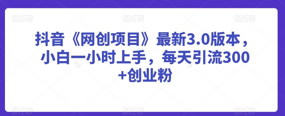 抖音《网创项目》最新3.0版本，小白一小时上手，每天引流300+创业粉【揭秘】-翻身站