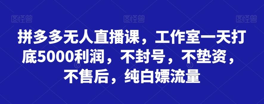 拼多多无人直播课，工作室一天打底5000利润，不封号，不垫资，不售后，纯白嫖流量-翻身站