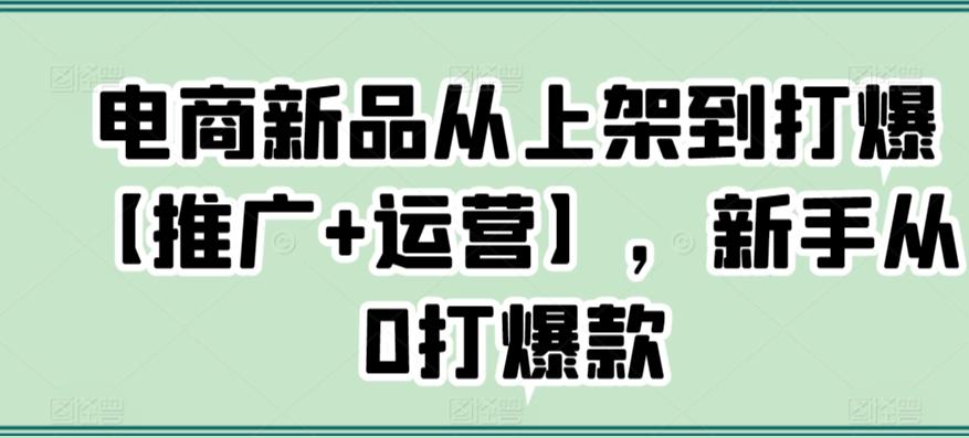 电商新品从上架到打爆【推广+运营】，新手从0打爆款-翻身站