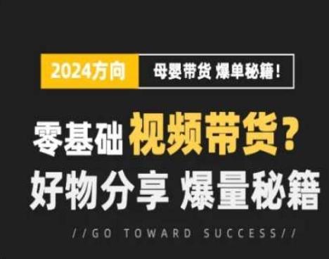 短视频母婴赛道实操流量训练营，零基础视频带货，好物分享，爆量秘籍-翻身站