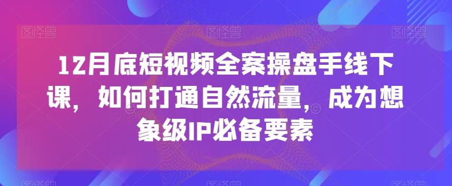 12月底短视频全案操盘手线下课，如何打通自然流量，成为想象级IP必备要素-翻身站