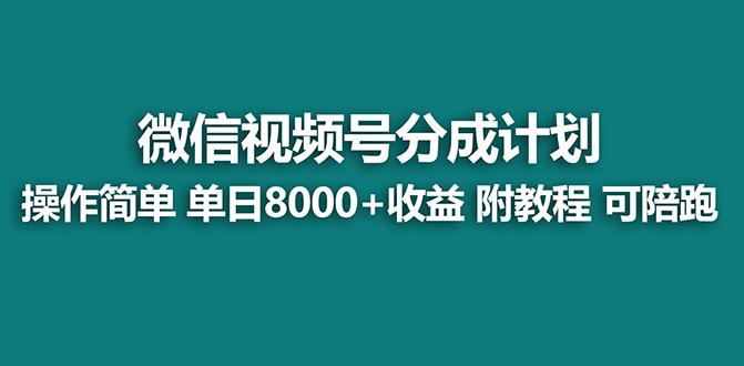 【蓝海项目】视频号分成计划最新玩法，单天收益8000+，附玩法教程，24年…-翻身站