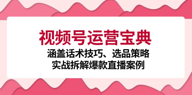 视频号运营宝典：涵盖话术技巧、选品策略、实战拆解爆款直播案例-翻身站