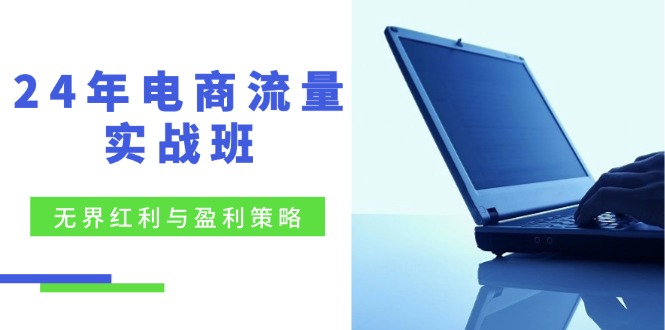 24年电商流量实战班：无界 红利与盈利策略，终极提升/关键词优化/精准…-翻身站