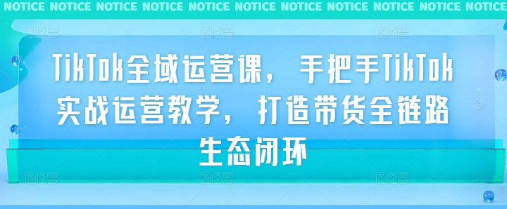 TikTok全域运营课，手把手TikTok实战运营教学，打造带货全链路生态闭环-翻身站
