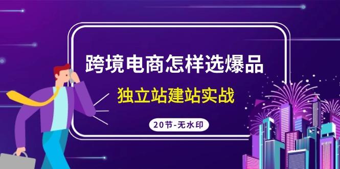 (9369期)跨境电商怎样选爆品，独立站建站实战(20节高清无水印课)-翻身站
