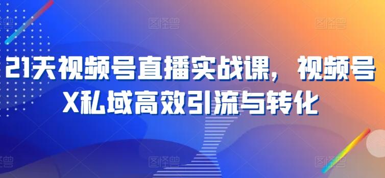 21天视频号直播实战课，视频号X私域高效引流与转化-翻身站