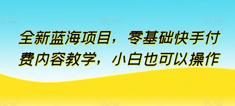 全新蓝海项目，零基础快手付费内容教学，小白也可以操作【揭秘】-翻身站