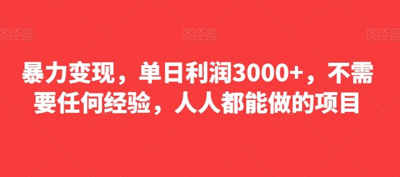 暴力变现，单日利润3000+，不需要任何经验，人人都能做的项目-翻身站