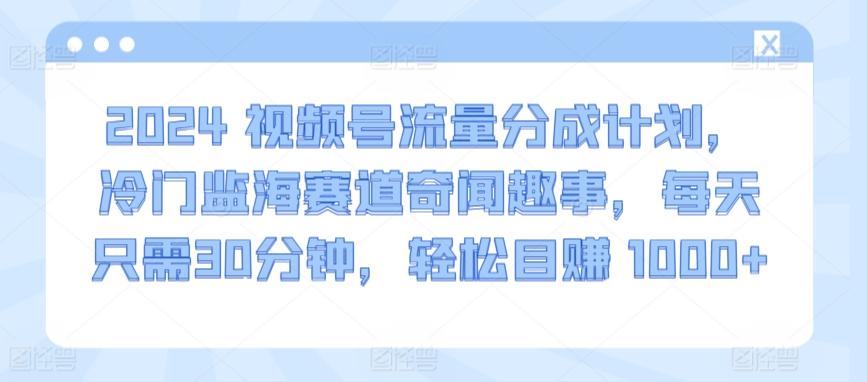2024视频号流量分成计划，冷门监海赛道奇闻趣事，每天只需30分钟，轻松目赚 1000+【揭秘】-翻身站