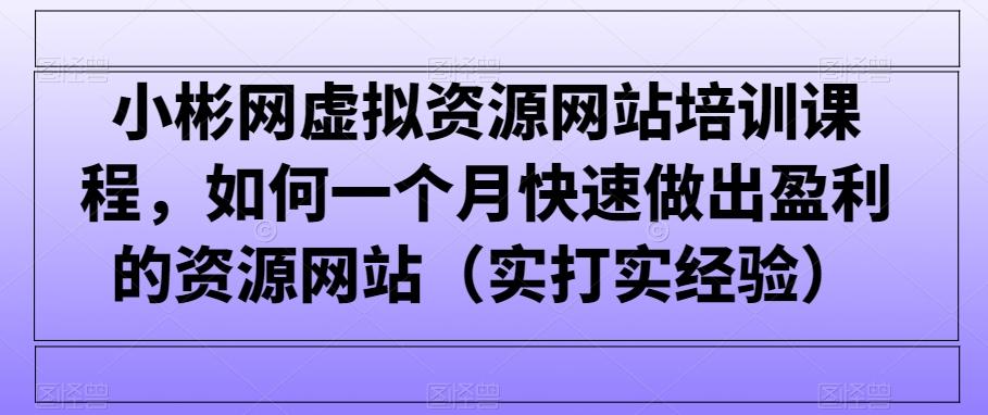 小彬网虚拟资源网站培训课程，如何一个月快速做出盈利的资源网站(实打实经验)-翻身站