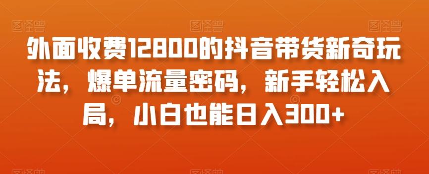外面收费12800的抖音带货新奇玩法，爆单流量密码，新手轻松入局，小白也能日入300+【揭秘】-翻身站
