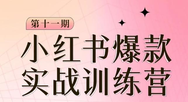 小红书博主爆款训练营第11期，手把手教你从0-1做小红书，从定位到起号到变现-翻身站
