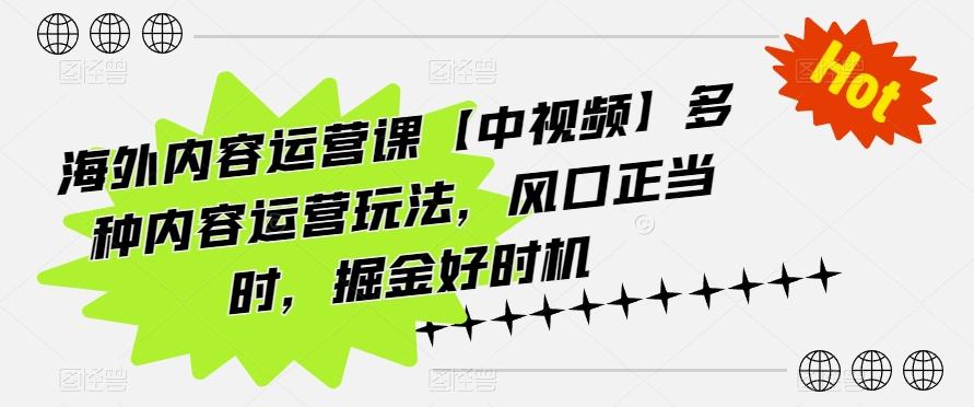 海外内容运营课【中视频】多种内容运营玩法，风口正当时，掘金好时机-翻身站