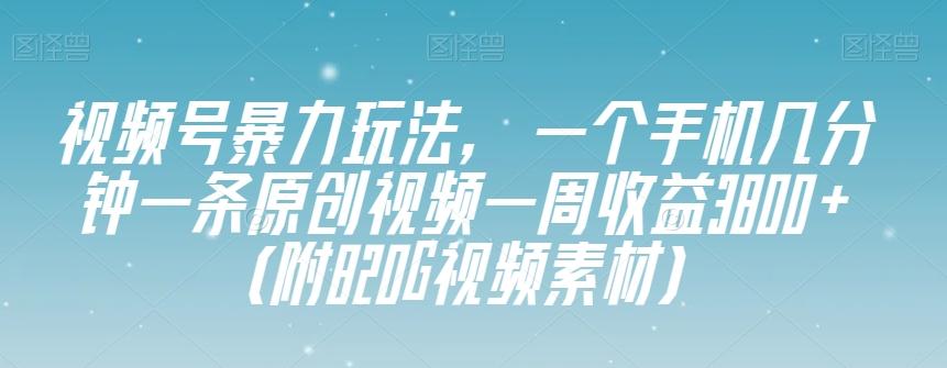 视频号暴力玩法，一个手机几分钟一条原创视频一周收益3800+（附820G视频素材）-翻身站