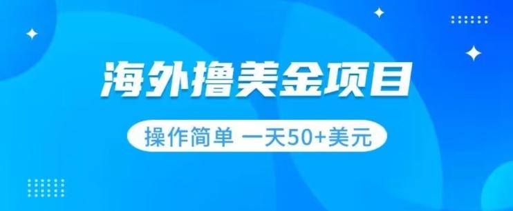 撸美金项目无门槛操作简单小白一天50+美刀-翻身站
