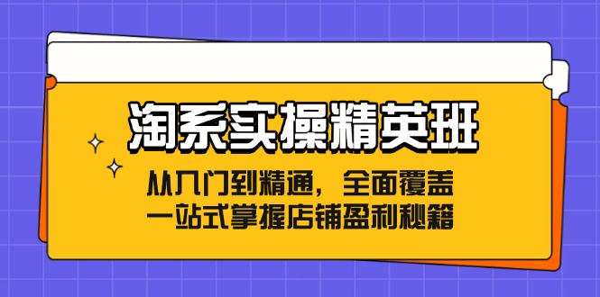 淘系实操精英班：从入门到精通，全面覆盖，一站式掌握店铺盈利秘籍-翻身站