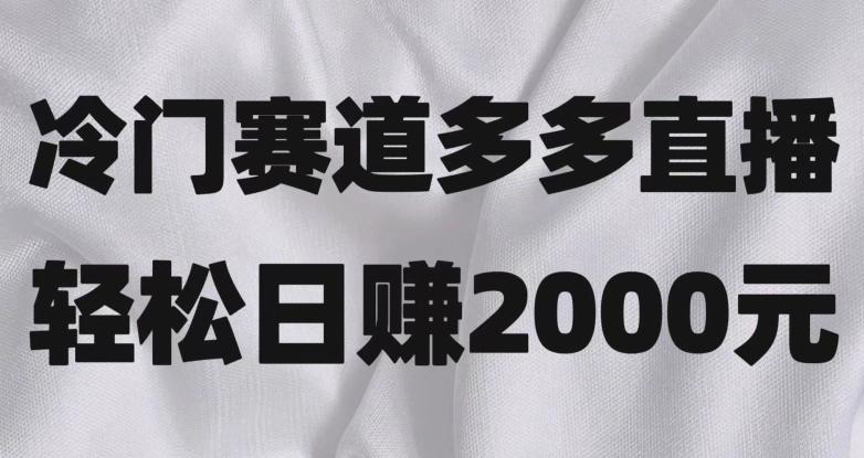 冷门赛道拼多多直播，简单念稿子，日收益2000＋【揭秘】-翻身站