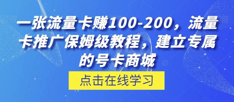 一张流量卡赚100-200，流量卡推广保姆级教程，建立专属的号卡商城-翻身站
