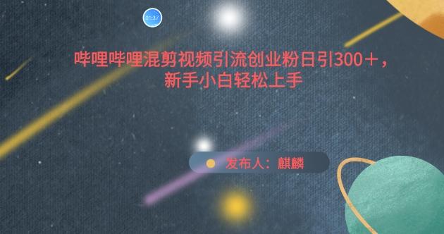 哔哩哔哩混剪视频引流创业粉日引300+，新手小白轻松上手【揭秘】-翻身站