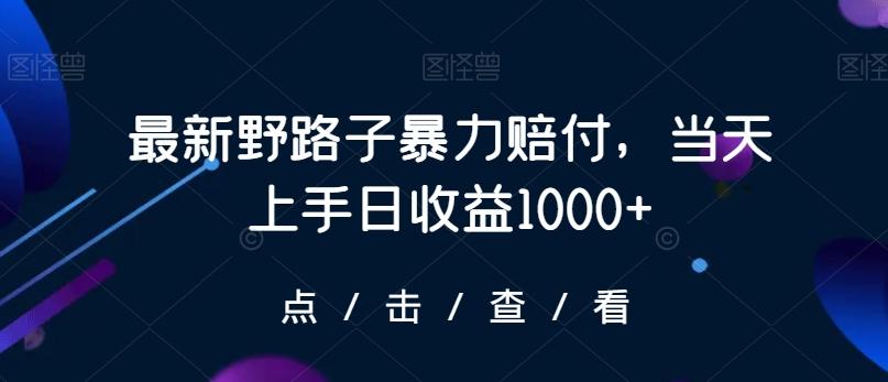 最新野路子暴力赔付，当天上手日收益1000+【仅揭秘】-翻身站