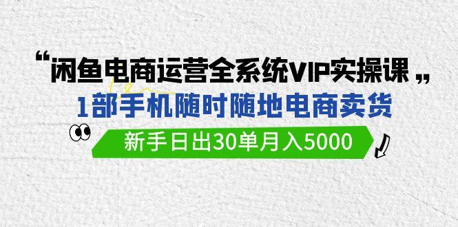 (9547期)闲鱼电商运营全系统VIP实战课，1部手机随时随地卖货，新手日出30单月入5000-翻身站