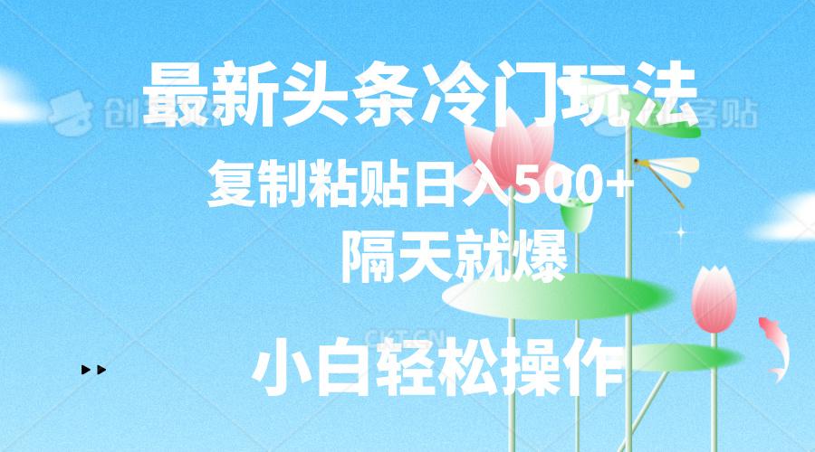 最新头条冷门玩法，隔天就爆，复制粘贴日入500+-翻身站