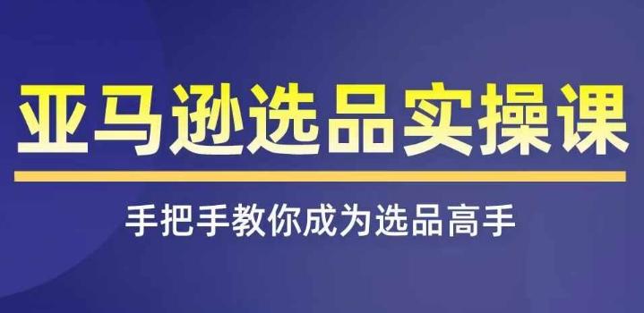 亚马逊选品实操课程，快速掌握亚马逊选品的技巧，覆盖亚马逊选品所有渠道-翻身站
