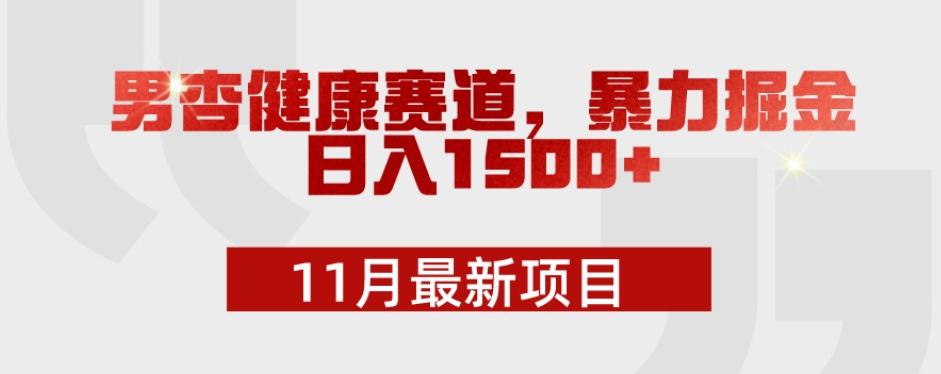 11月最新项目，男杏健康赛道，暴力掘金，日入1500+-翻身站