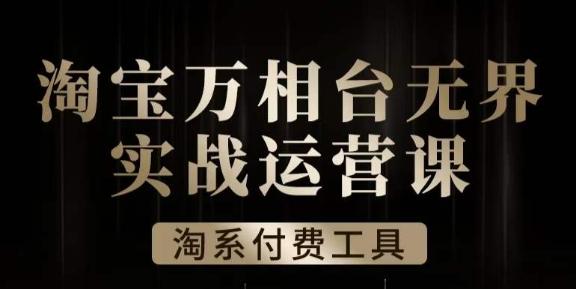 沧海·淘系万相台无界实战运营课，万相台无界实操全案例解析-翻身站
